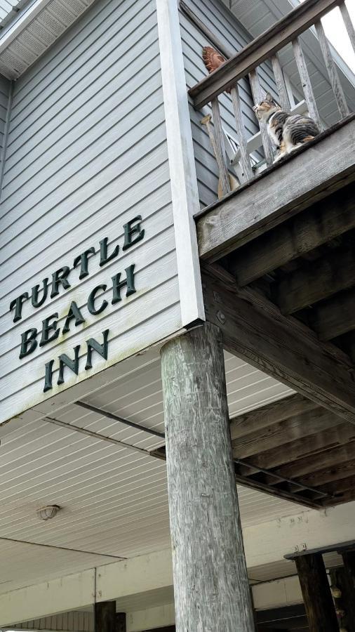 Turtle Beach Inn Indian Pass エクステリア 写真